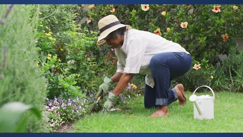 When is the right time to start spring planting in Colorado? Denver Botanic Gardens has some answers