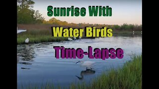 Sunrise with Birds and Water in Panacea, FL Time-lapse