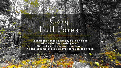 Cozy Fall Forest - Relaxing Instrumental Country, Folk & Blues Music - Calm Ambience