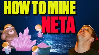 How to Mine NETA on ERGO! Windows & HiveOS