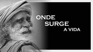 ONDE SURGE A VIDA, SADHGURU 2022, MOTIVAÇÃO MESTRE