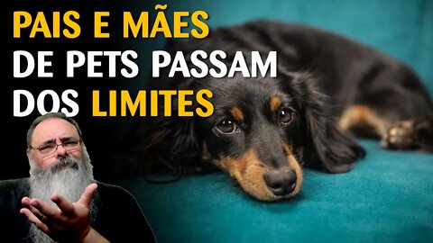 STJ define se cabe PENSÃO ALIMENTÍCIA para ANIMAIS DE ESTIMAÇÃO