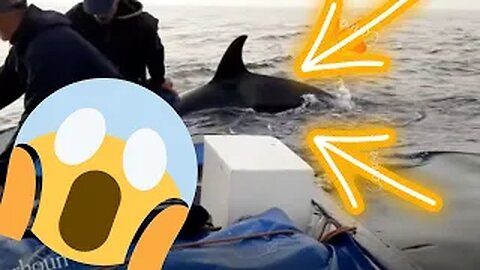 Orca Pod Attacks Boat Of Fishermen Captured On Camera