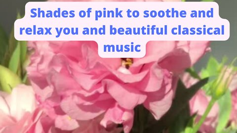 Fall asleep easily by watching soothing shades of pink and listening to soothing classical music