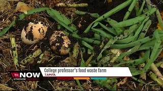 College professor's food waste farm in Tampa