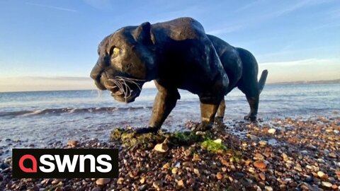 Artist created a sculpture of a panther-like 'big cat' on the shore in Cornwall