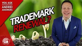 Trademark Renewal Process: How Often Can You Do It? | You Ask, Andrei Answers