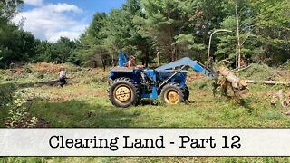 Episode 50 - Clearing Land - Part 13