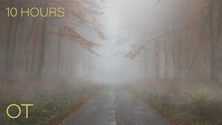 Soothing Rain Sounds For Sleeping| Relaxation| Studying| A RAINY NIGHT IN A FALL FOREST| 10 HOURS