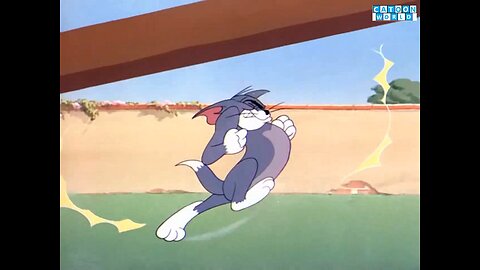 Tom&Jerry Episode The Flaying Cat Full Watch.(Cartoon World)