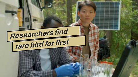 Researchers find rare bird for first time in 140 years