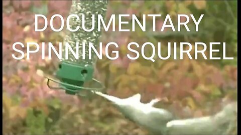 Documentary: Spinning Squirrel. Psychological Warfare, Propaganda & Fake History