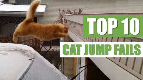 TOP 10 CAT JUMP FAILS