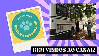 1 - Bem vindos ao canal Dogsnaestradabr!