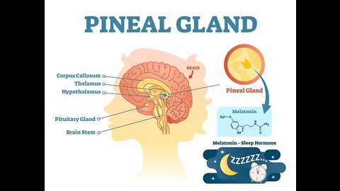 Decalcifying your pineal gland & reconnecting to source