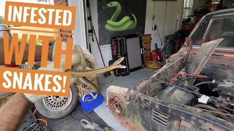 The GS400 frame swap Falcon is Infested with Snakes!!