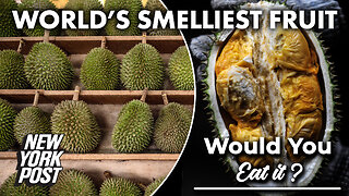 A chef, a kid, and a dog taste-test Durian, the world’s smelliest fruit | Would You Eat It?
