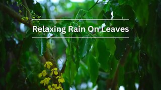 Relaxing view of Raindrops Falling on the window glass in cozy room get to Sleep more Easily.