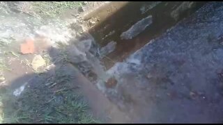 SOUTH AFRICA - Durban - Burst water pipe (Videos) (hV3)