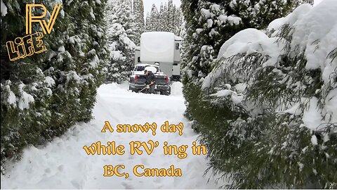 A snowy day in Lower Mainland BC-January 2024