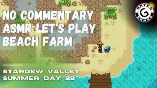 Stardew Valley No Commentary - Family Friendly Lets Play on Nintendo Switch - Summer Day 22