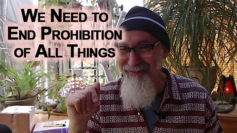 We Need to End Prohibition of All Things