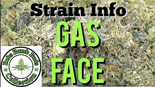 Gas Face Marijuana Strain By Seed Junky Genetics & From Chronic Farms Dispensary