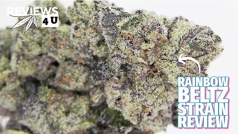 RAINBOW BELTZ STRAIN REVIEW | REVIEWS 4 U - ELEPHANT GARDEN