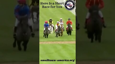 You Wont Believe This Little Race It Is Short #youtubeshorts #mypony #smalltownamerica