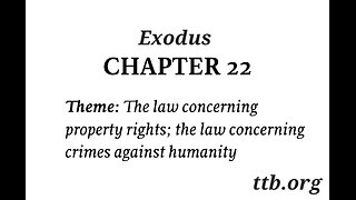 Exodus Chapter 22 (Bible Study)