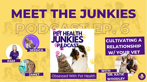 PET HEALTH JUNKIES: Cultivating A Relationship With Your Vet feat Dr Katie Woodley