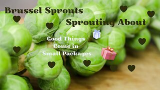 Brussel Sprouts – Sprouting About - Good Things come in Small Packages