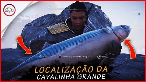 Assassin's creed valhalla, Localização da Cavalinha Grande | super dica