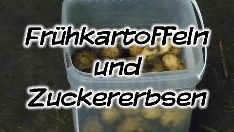 Mach's Dir. Selbst. - Frühkartoffeln und Zuckererbsen