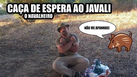 O Navalheiro | Tratamento de um Cevadouro | Caça de Espera ao Javali