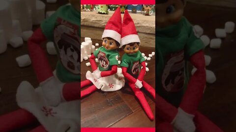 Our Elves on the Shelf, Holly and Jolly, Have a Snowball Fight! #shorts