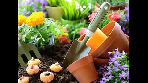 Home Gardening tutorials