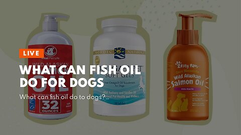 What can fish oil do for dogs