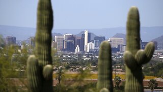 Climate Change Is Threatening The Saguaro Cactus' Survival