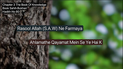 ❤️Rasool Allah (S.A.W) Ne Farmaya, Ahlamathe Qayamat Mein Se Ye Hai K, Hadees 80 ❤️ 10 Nov 2023