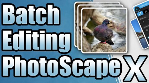Batch Photo Editing - PhotoScape X Tutorial