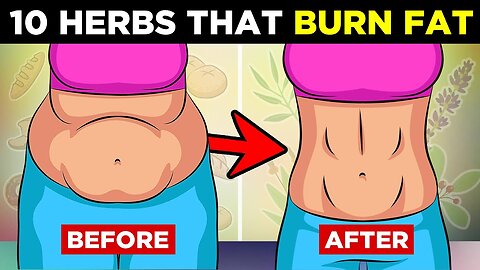 TOP 10 Herbs That Burn Belly Fat and Aid Weight Loss
