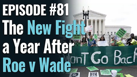 #81 - The New Fight a Year After Roe v Wade, ft. Julie Emmons