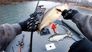 Late Winter Fishing for FAT Cold Water Bass!