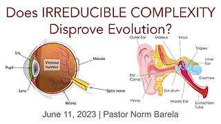 Does IRREDUCIBLE COMPLEXITY Disprove Evolution?