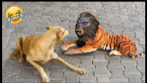 FAKE LION 🦁 AND FAKE TIGER 🐯 PRANK TO DOG