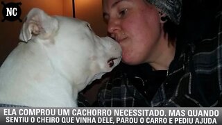 Ela comprou um cachorro necessitado. Mas quando sentiu o cheiro que vinha dele, parou o carro...