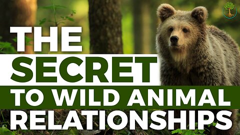 The Secret To A Relationship With A Wild Animal | Steve Karlin