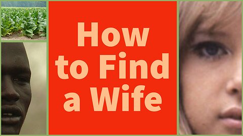 How to Get A Girlfriend and Wife