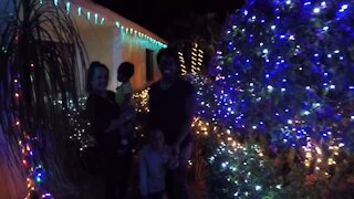Blasian Babies Family FL Palm Tree Christmas!